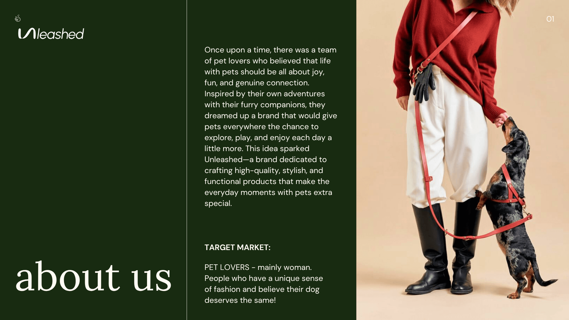 Unleashed brand guidelines, page 3 of 9
