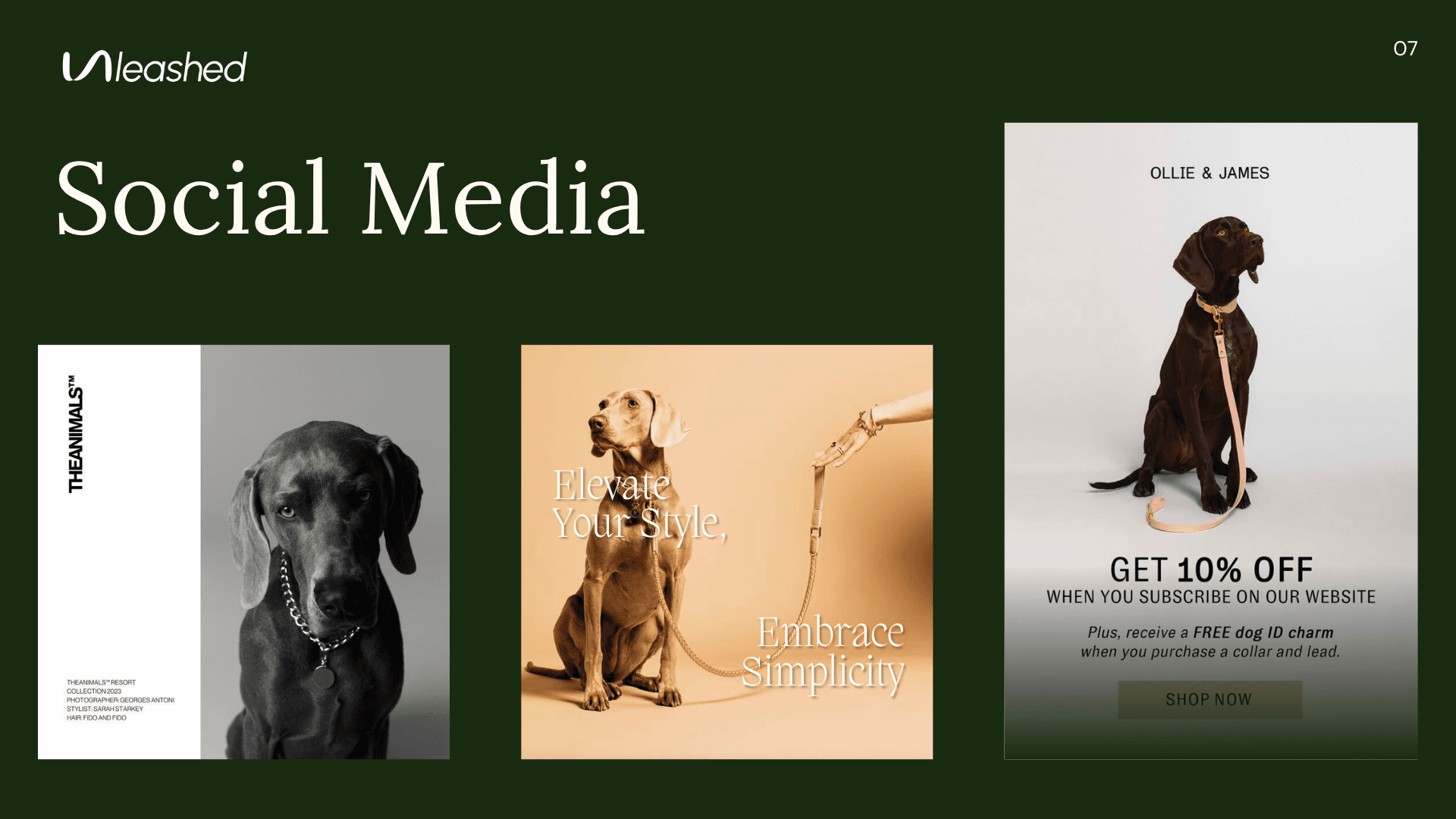 Unleashed brand guidelines, page 8 of 9